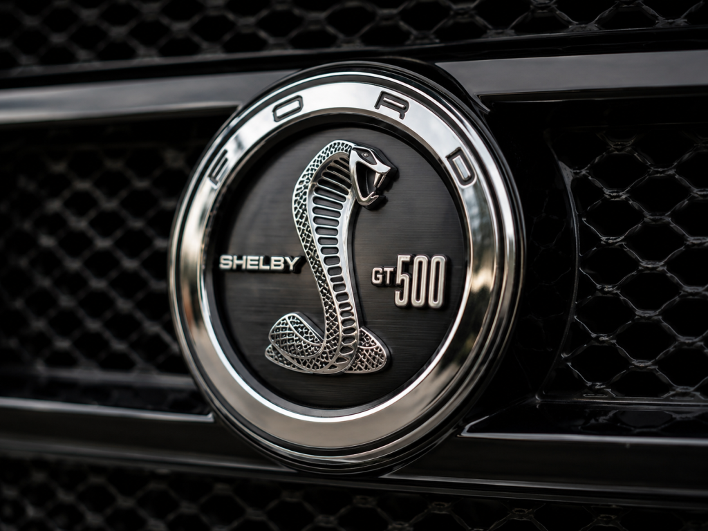 Logo Shelby